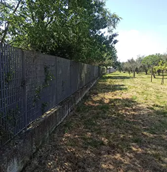 Foto annuncio 31