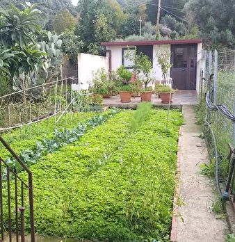 Foto annuncio 23