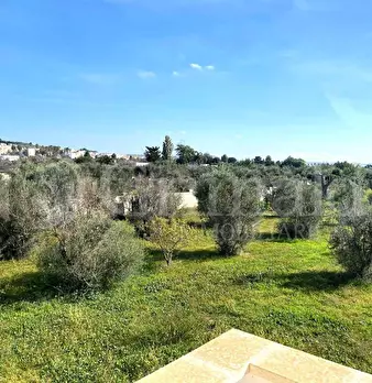 Foto annuncio 23