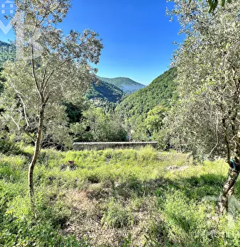 Foto annuncio 13