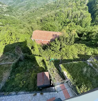 Foto annuncio 18