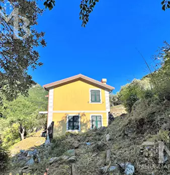 Foto annuncio 11