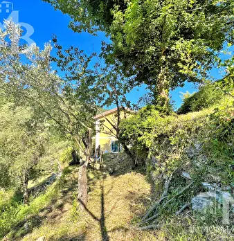 Foto annuncio 29
