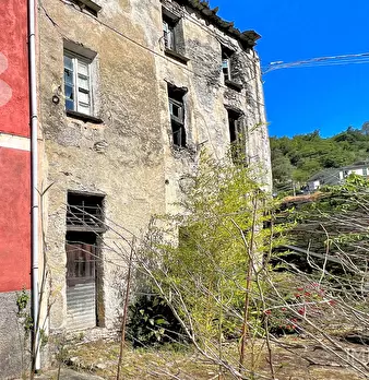 Foto annuncio 2
