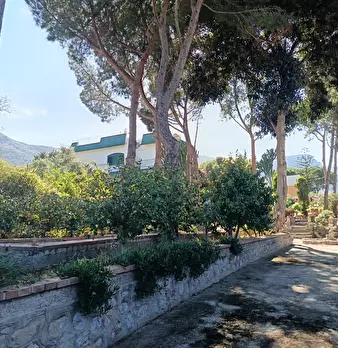 Foto annuncio 22