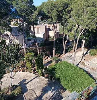 Foto annuncio 41