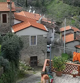 Foto annuncio 1