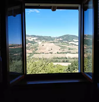 Foto annuncio 20