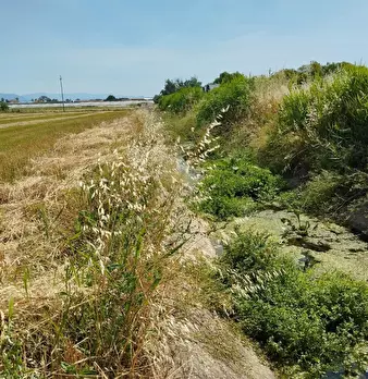 Foto annuncio 20