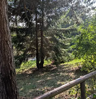 Foto annuncio 31