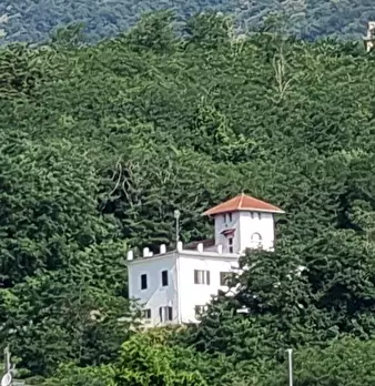Foto annuncio 94