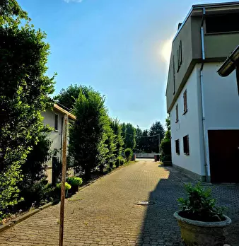 Foto annuncio 7