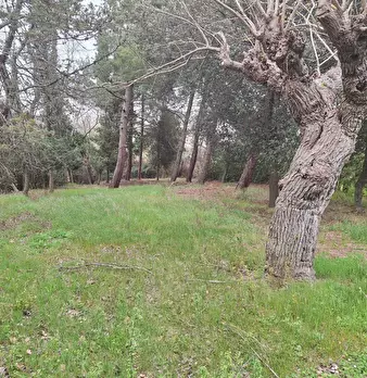 Foto annuncio 9
