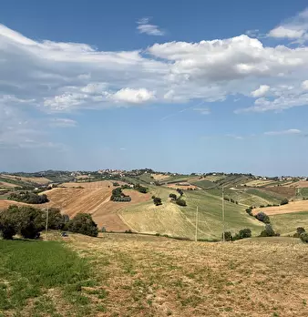 Foto annuncio 16