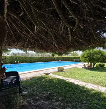 Foto annuncio 98