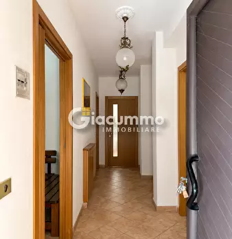 Foto annuncio 17