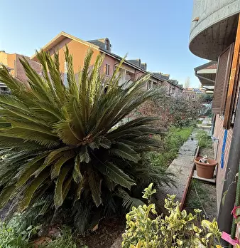 Foto annuncio 49