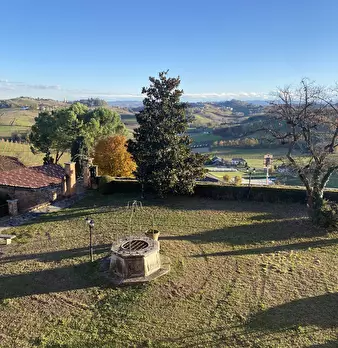 Foto annuncio 74