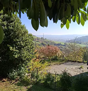 Foto annuncio 3