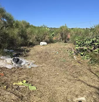 Foto annuncio 22