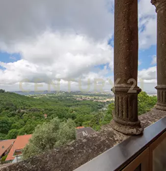 Foto annuncio 50