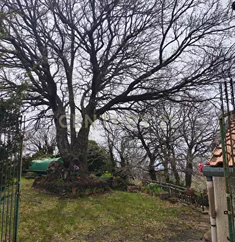 Foto annuncio 29