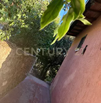 Foto annuncio 7
