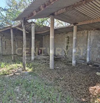 Foto annuncio 10