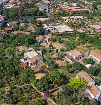 Foto annuncio 50