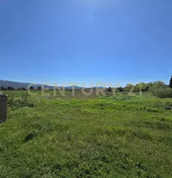 Foto annuncio 34