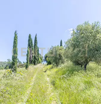Foto annuncio 33