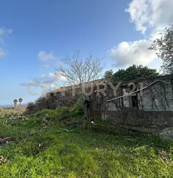 Foto annuncio 37
