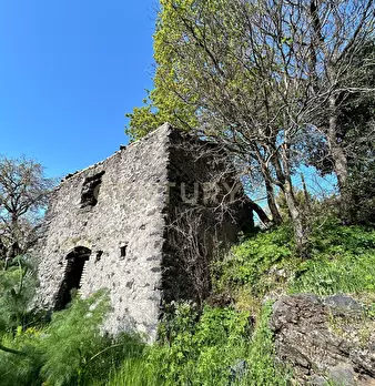 Foto annuncio 13