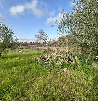 Foto annuncio 35