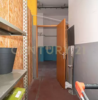 Foto annuncio 13