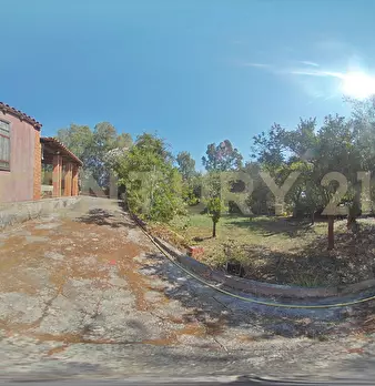 Foto annuncio 64
