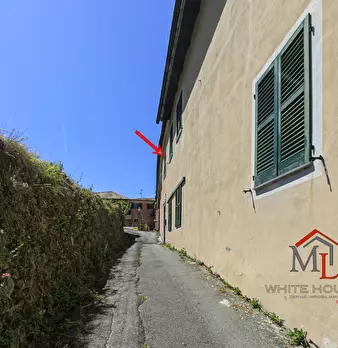 Foto annuncio 28