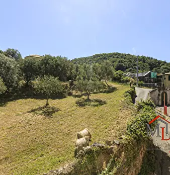 Foto annuncio 19