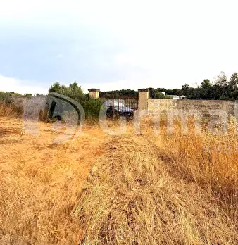 Foto annuncio 16