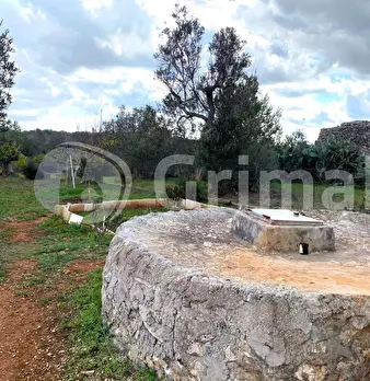 Foto annuncio 18