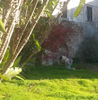 Foto annuncio 3