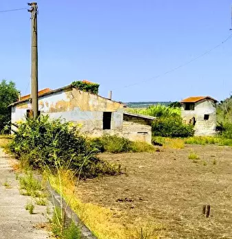 Foto annuncio 28