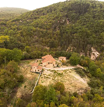 Foto annuncio 7