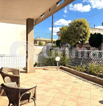 Foto annuncio 26
