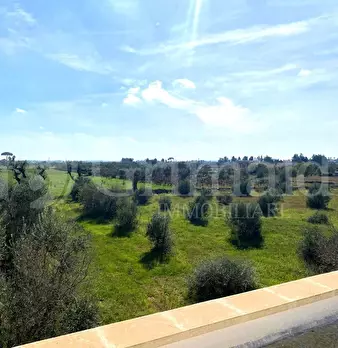 Foto annuncio 27