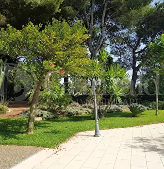 Foto annuncio 28