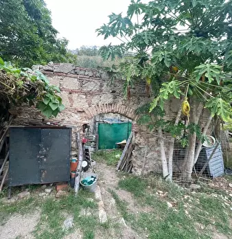 Foto annuncio 44