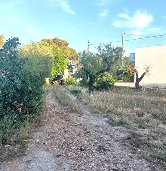 Foto annuncio 6