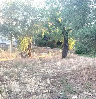 Foto annuncio 3
