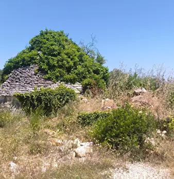 Foto annuncio 4